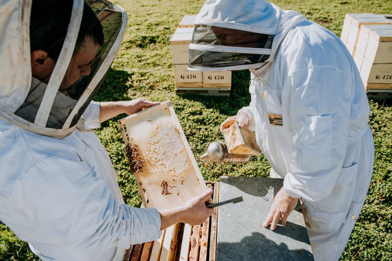 Beechworth Honey