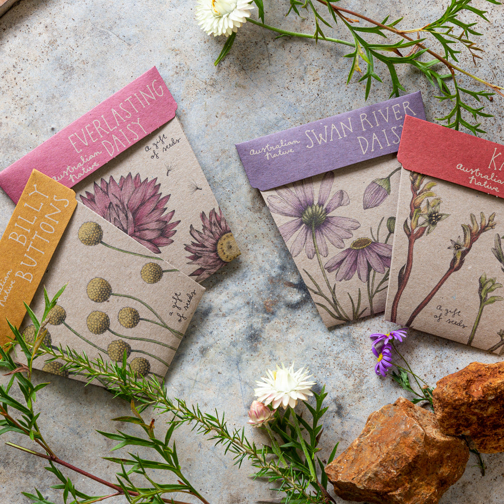 Four native garden seed packs with flora in the background