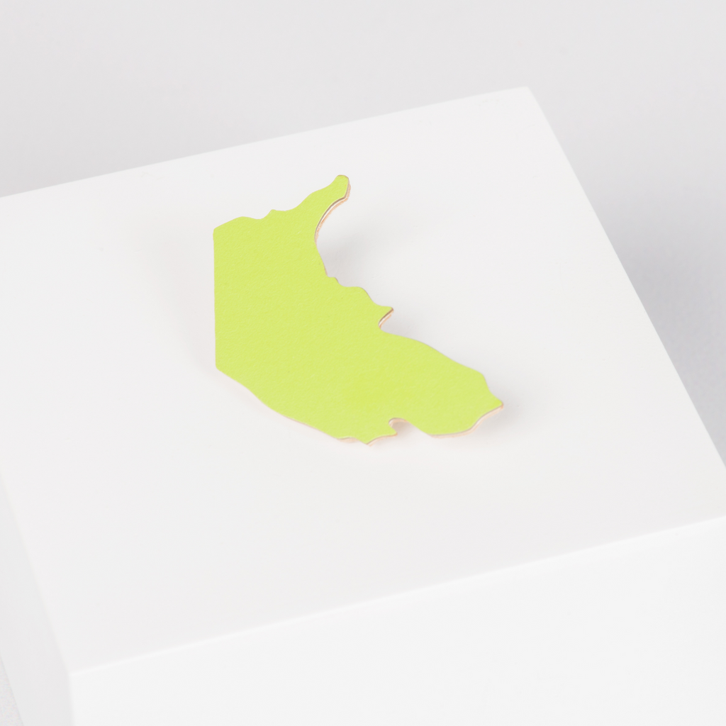 Wooden Neon Green brooch in the shape of the Australian Capital Territory 