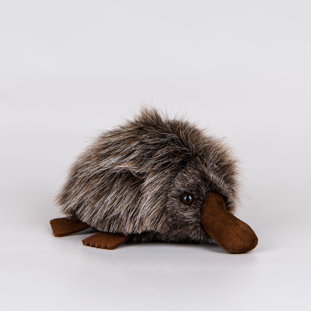 Plush brown echidna toy.