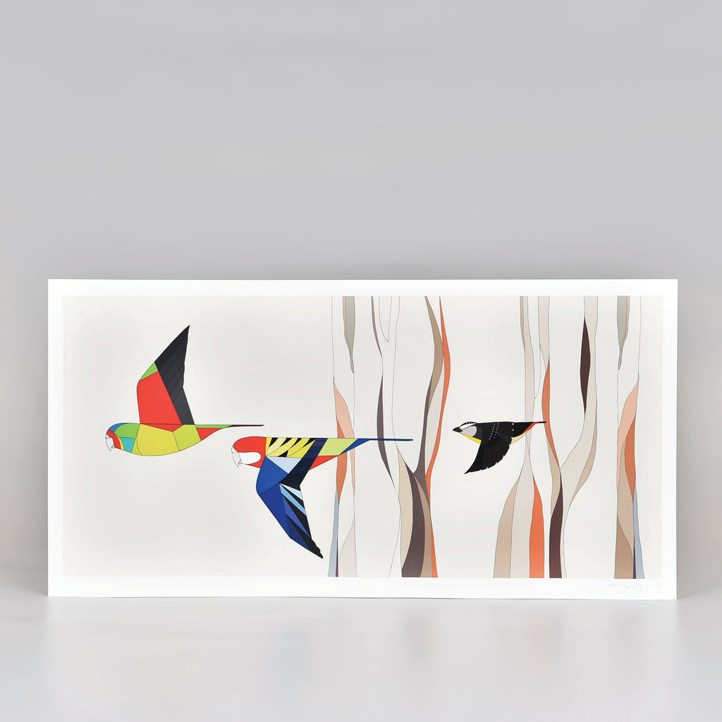 Art print of three colourful birds flying past trees and a white background