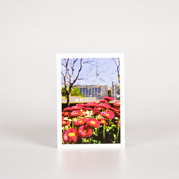 postcard of flowers and parliament house