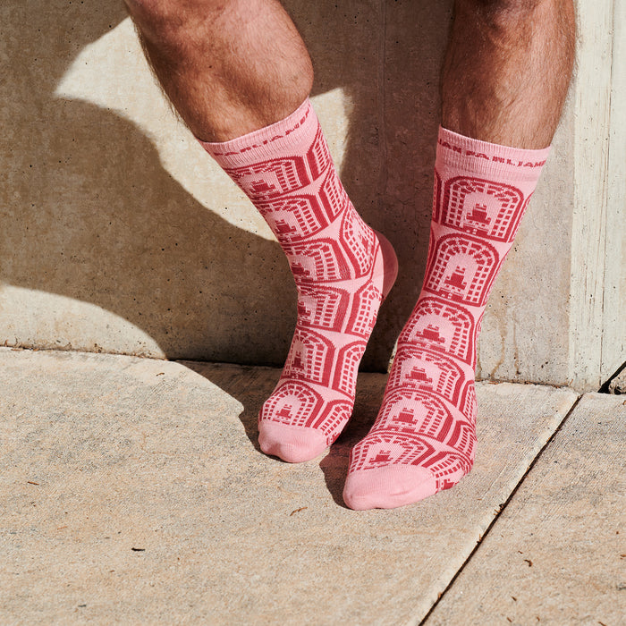 pink sock with repeated, red house of senate logos on a pair of feet