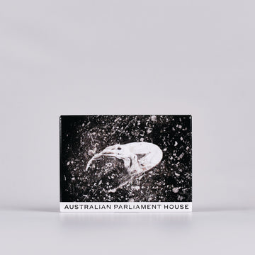 Black and white magnet featuring a photo of a coral fossil in the shape of a prawn.