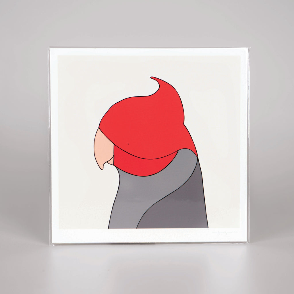 Art Print of Gang-gang cockatoo with white background 