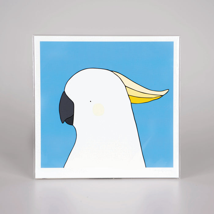 Art Print of sulphur crested cockatoo with a blue background and white border