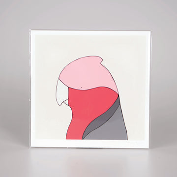 Art Print of galah with white background