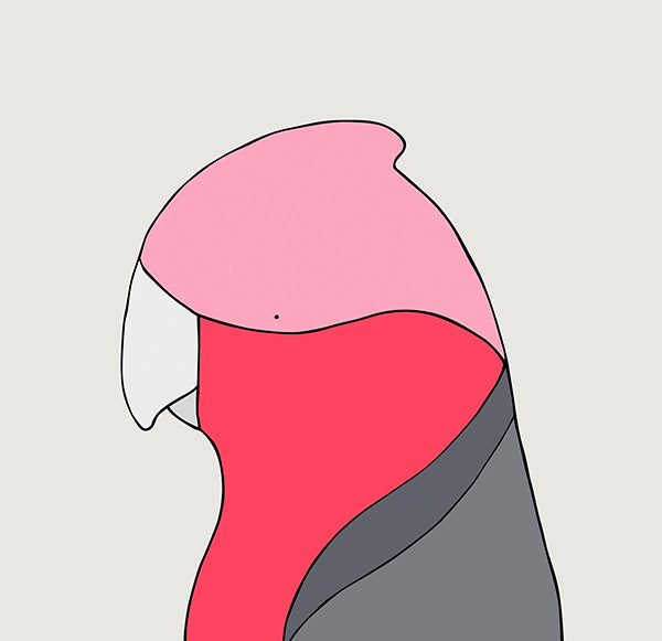 artwork of galah with white background