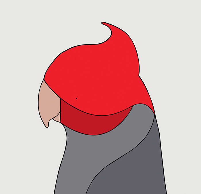 Artwork of Gang-gang cockatoo with white background