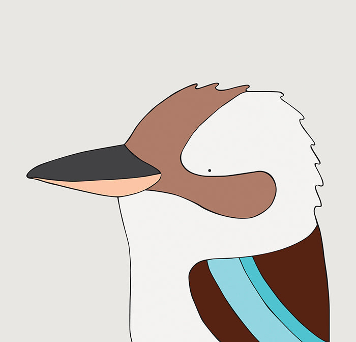 artwork of kookaburra with white background
