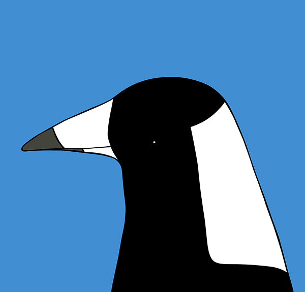 artwork of magpie with blue background