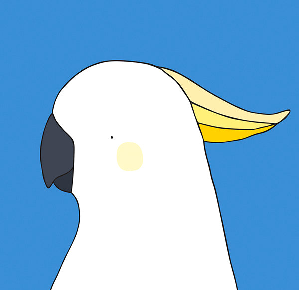 artwork of sulphur crested cockatoo with blue background