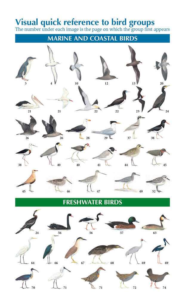 Page from the book 'The Compact Australian Bird Guide' with illustrations of marine, coastal and freshwater birds. 