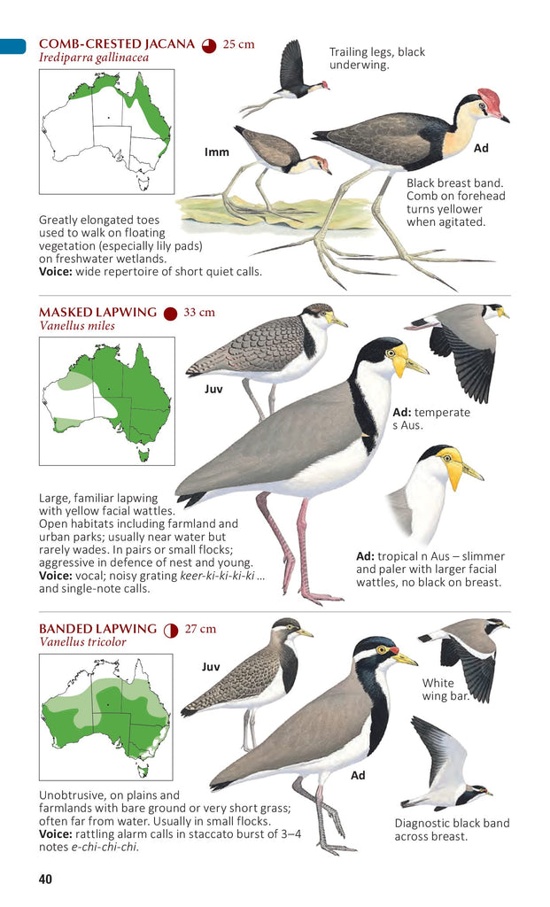 Page from the book 'The Compact Australian Bird Guide' with illustrations and information relating to birds. 