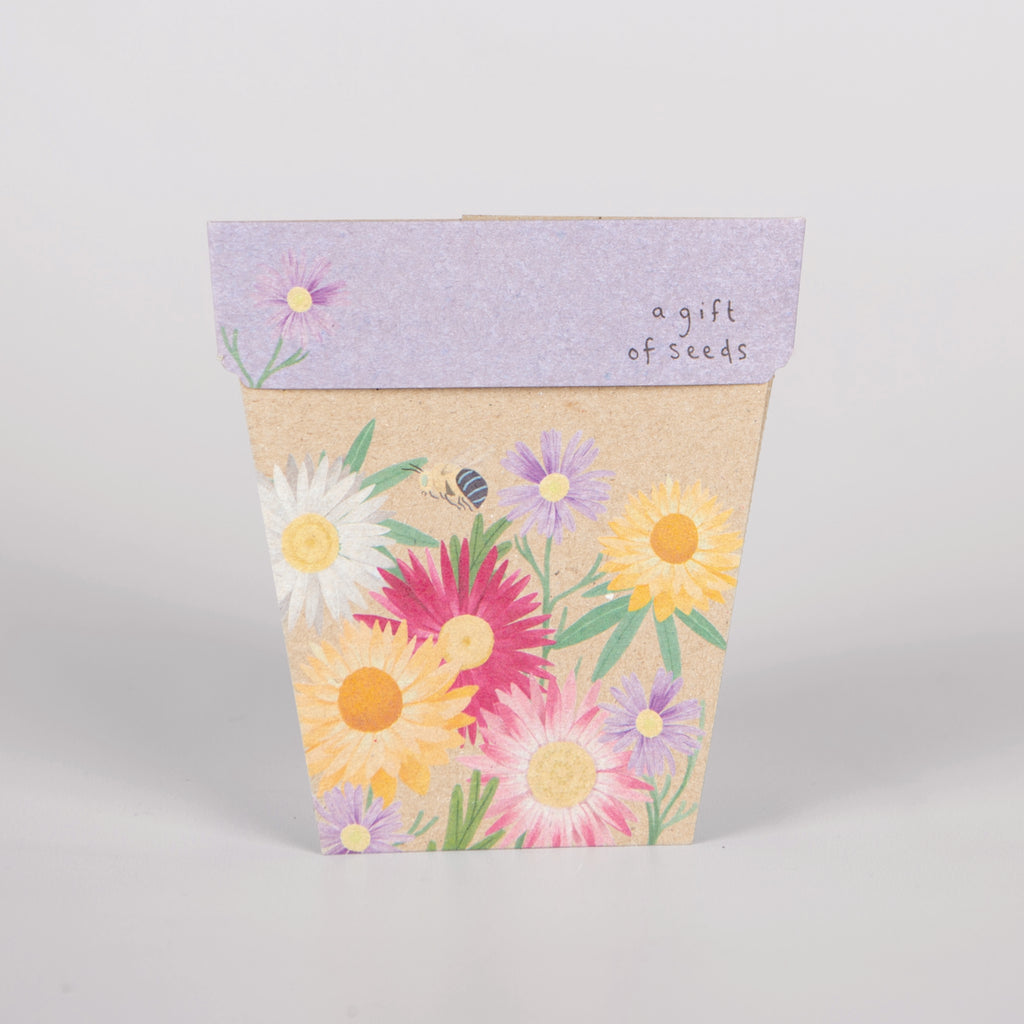 Pot-shaped gift of seeds greeting card