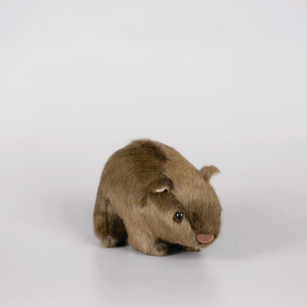 Brown wombat plush toy.